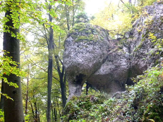 Der "Elefant" am Wegesrand