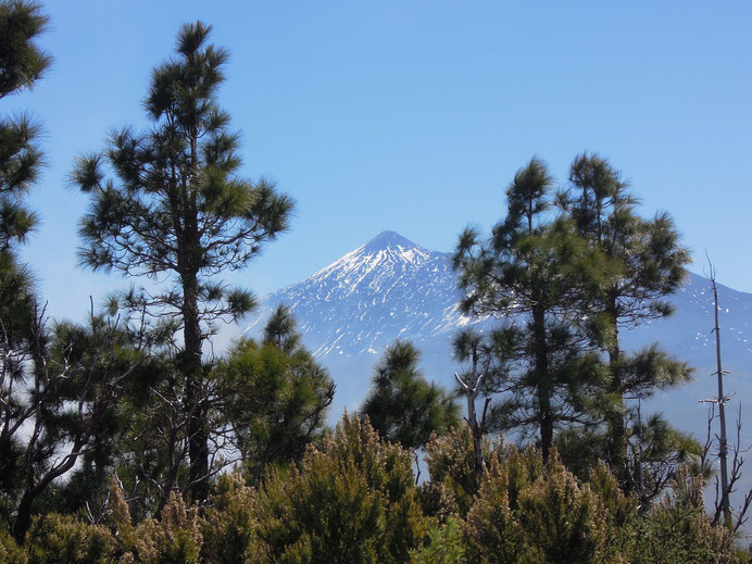 Immer im Blick: der 3760 m hohe Teide