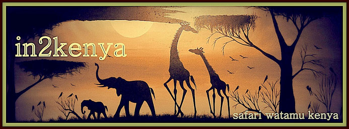 Vacanze e Safari in Kenya - In2kenya