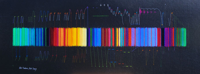 Bat Song 15 x 38 pastel and pencil on paper