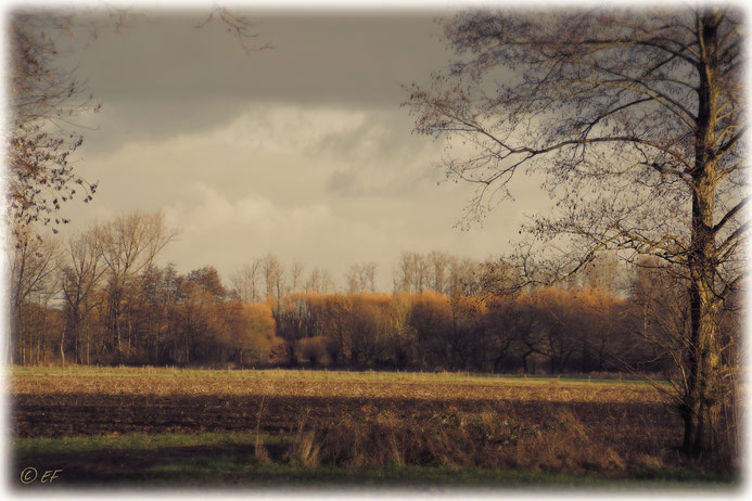 Winterliche Farben einer Landschaft