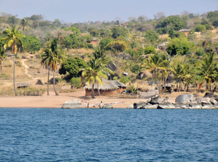 Malawi See, Bilharziose