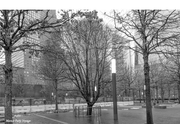 Arbre du souvenir, One World Trade, New York