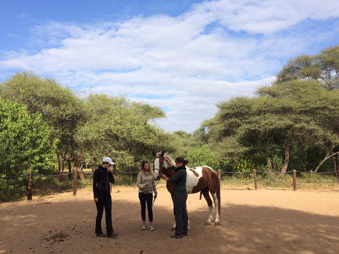 Horsemanship-Training und Pferdeosteopathie-Demo in Botswana