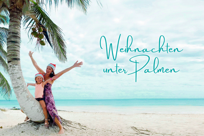 Weihnachten unter Palmen. Palme am Meer