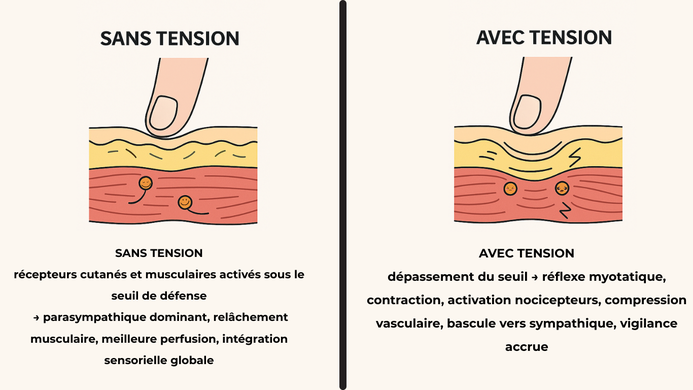 Pression sans tension en Shiatsu en Guadeloupe| Douceur efficace pour stress et tensions
