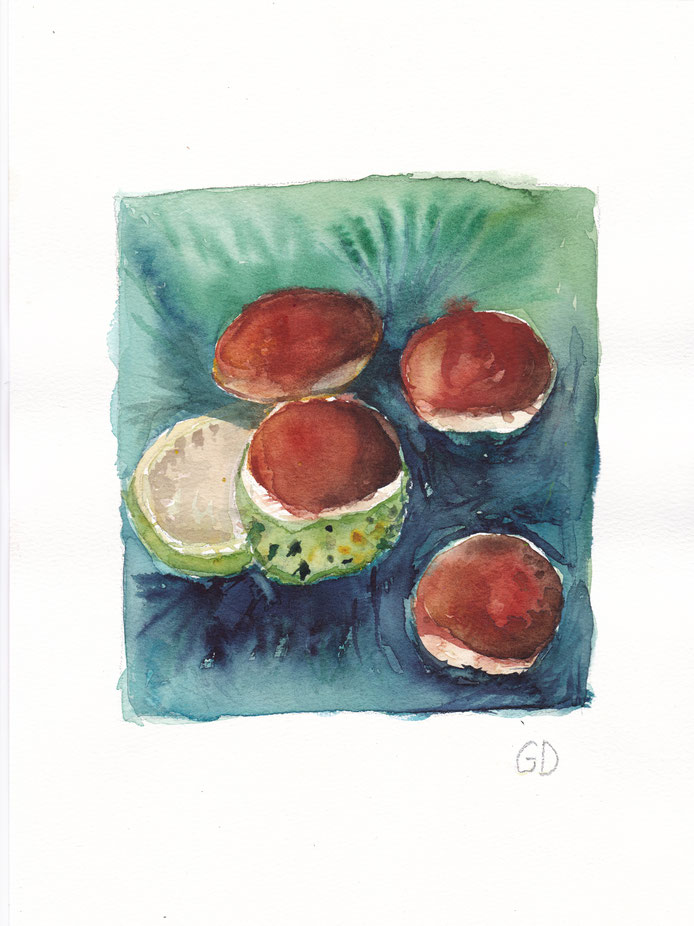 Kastanien, 21x30 cm, 150€