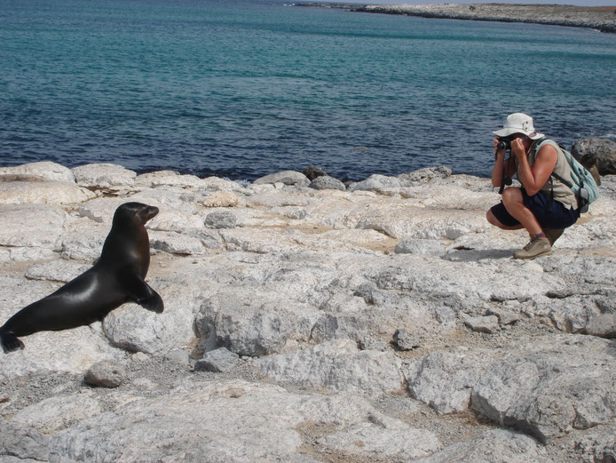 Eine alltäglich Szene an den Küsten der Galápagos-Inseln - Foto: Anna Dutton