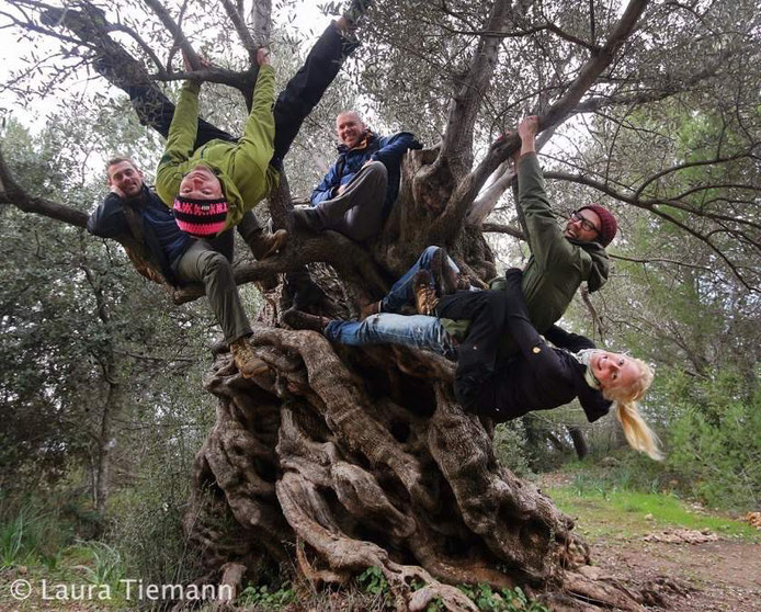 Sjoerd, me, Paul, Bobby & Laura and a very cool tree!