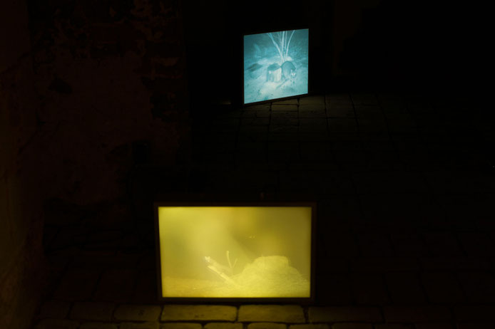Neon Shelter (c) Teresa Fellinger & Evalie Wagner
