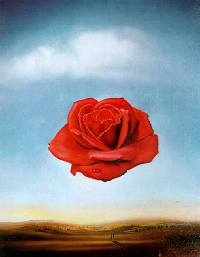 Dalí, "La rosa meditativa" (1958)