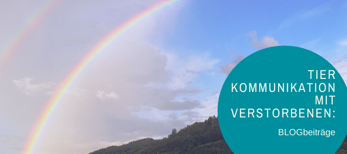 Teilweise bewölkter und blauer Himmel mit zwei Regenbögen über bewaldeten Berg mit Aufschrift Blogbeiträge Tierkommunikation mit Verstorbenen.