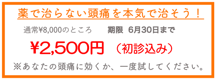 薬で治らない頭痛を本気で治そう！通常¥8000のところ2月28日まで¥2500でお試しいただけます。あなたの頭痛、偏頭痛に効くか、一度試してください。