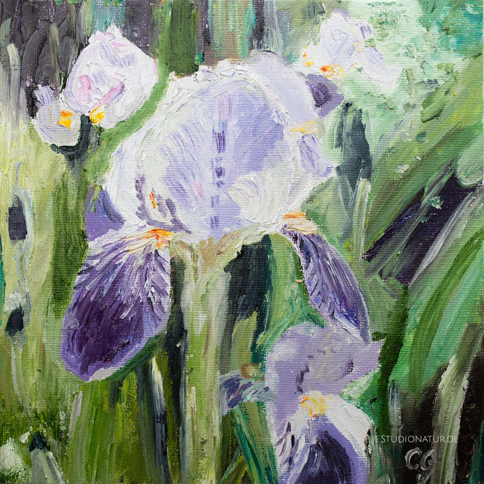 Ölbild, Ölmalerei, Iris, Blüte, violett, Seelenbild, Plfanze in Öl, Garten, art, blossom in oil, Oil painting, grass, Blüte in Öl, contemporary art, zeitgenössische kunst, Licht,