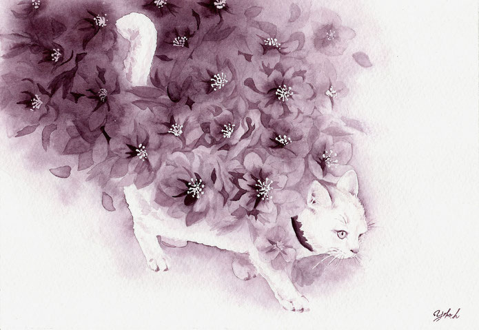 「華猫」　クリスマスローズ・白猫　使用画材：ラングトン／ミジェロ透明水彩