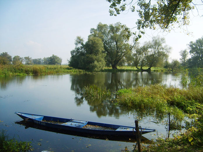 Havel bei Vehlgast