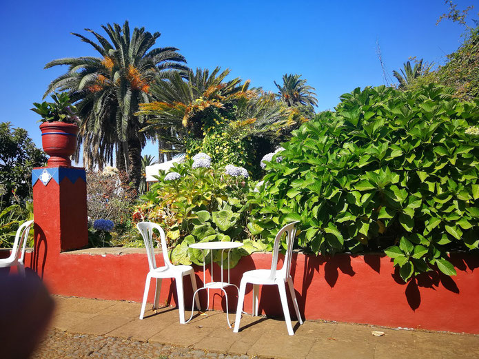 sillas-y-una-mesa-en-la-terraza-de-un-hermoso-jardín-con-palmeras