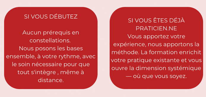 les avantages de la formation de therapeute en constellation familiale totem formations