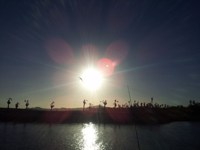 Beautiful view over la Playita. Well, I love to take photos of birds. Especially in front of the sun. For me it mirrors freedom and stillness.