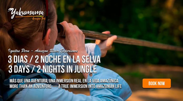 3-day Amazon jungle tour from Iquitos with local guide and jungle lodge included Tour de 3 días en la selva desde Iquitos con guía local y alojamiento incluido