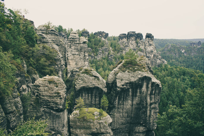 Saxon Switzerland ofpenguinsandelephants of penguins & elephants Bastei Bridge view