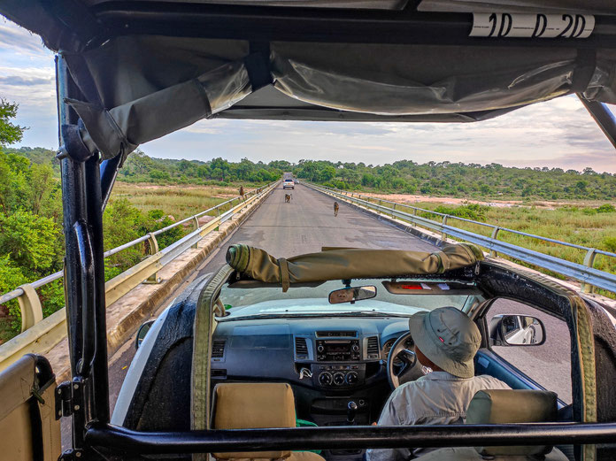 Game Drive