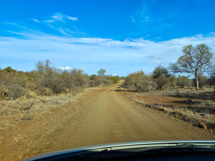 Krüger Nationalpark Safari