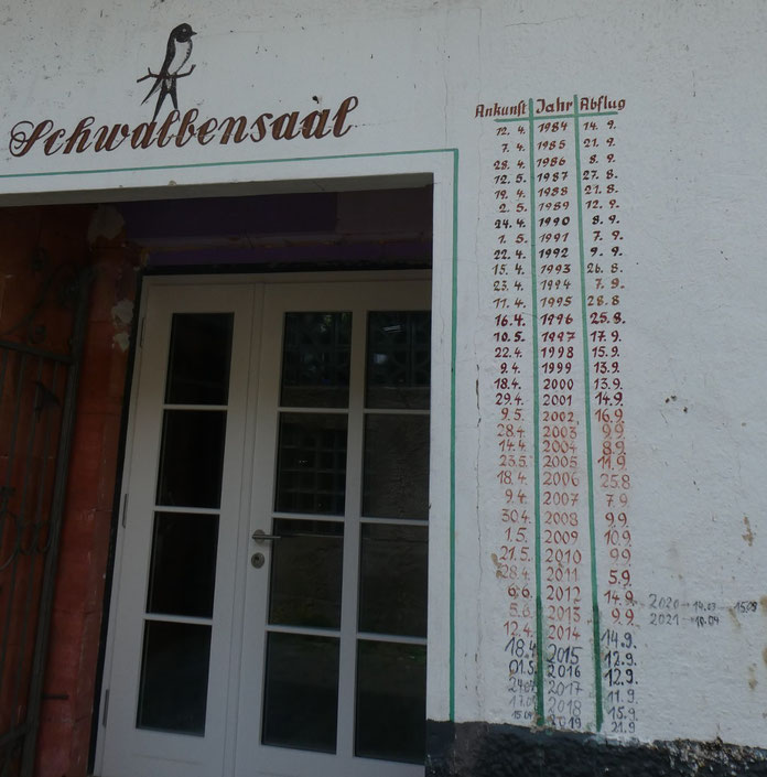 Schwalbenkalender aus dem Moseltal (Foto: J. Rönsch)