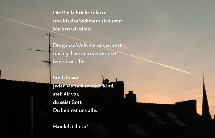 Bild & Text Konrad Meier