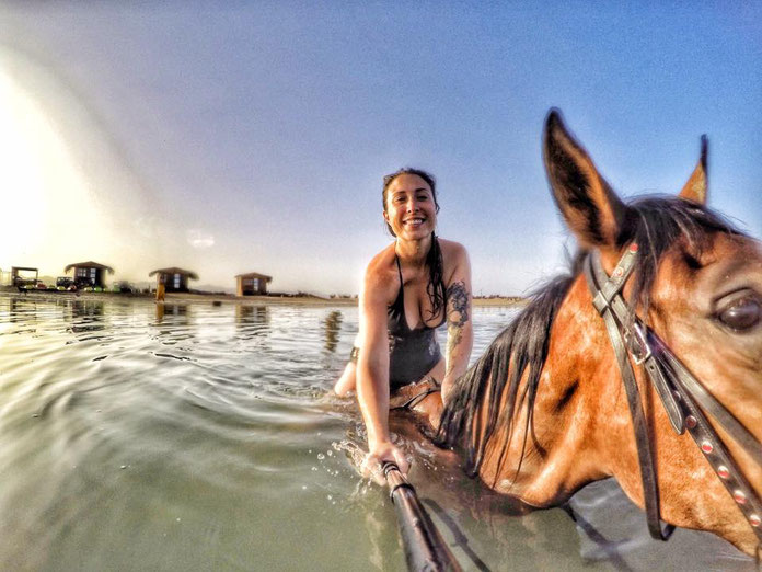 swim with horses in Egypt