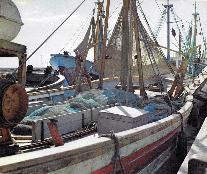 El Puerto de Jávea (o Duanes de la Mar) es uno de los núcleos con más personalidad de la localidad, donde la tradición pesquera del siglo XV convive con un ambiente cosmopolita. Barcas de pesca en el puerto de Jávea -Alicante- Foto Xavier Ribera.