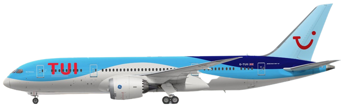 Aircraft Type: Boeing 787-8 Dreamliner
