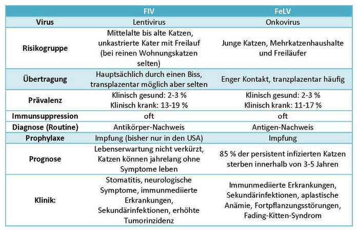 Was ist FIV und FeLV bei Katzen