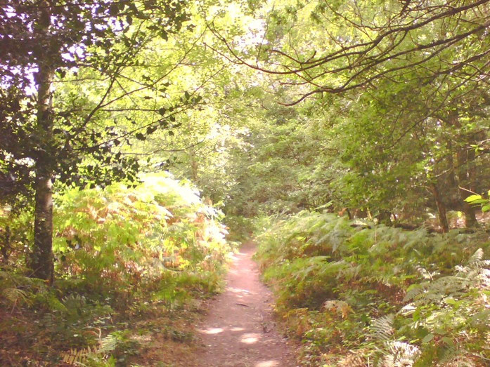 Toutes les festivités ont lieu dans la nature.