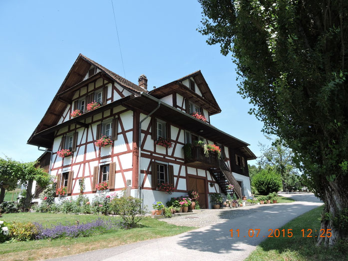 unser Team springerscastles seite!