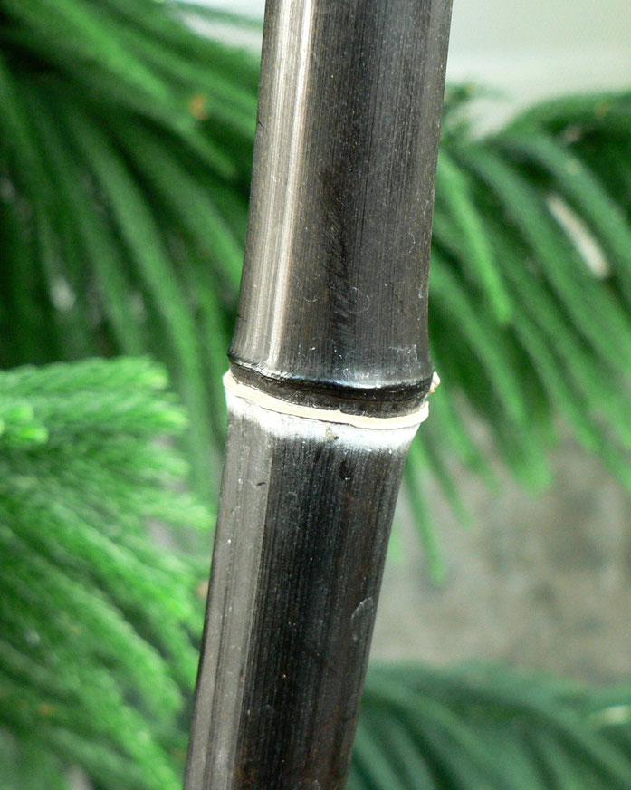 «Black Bamboo» de No machine readable author provided. Rob Cowie assumed (based on copyright claims). - No machine readable source provided. Own work assumed (based on copyright claims).. Disponible bajo la licencia CC BY-SA 3.0 vía Wikimedia Commons - ht