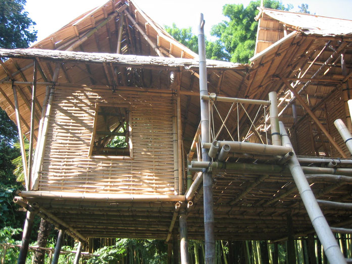 habitat en bambou Site de 2bamboo ! Tout sur les bambous / Bamboo