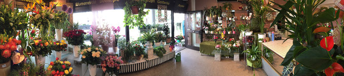 Bild: Blumenladen in Köln-Ost, Köln-Porz