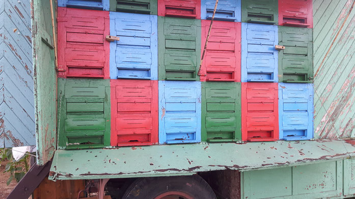 Beehive truck from Bio Honig Neuss in the Oderberge Lebus Nature Reserve