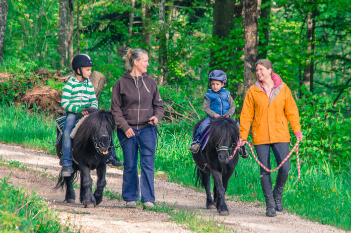 Das Ponyreiten eignet sich für jedes Kind und es gibt keine Voraussetzungen. Die Ponys werden von Erwachsenen geführt und die Kinder können das Ponyreiten in vollen Zügen geniessen.