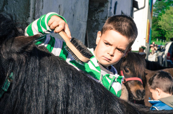 Das Thema Pony am lebendigen Tier bearbeiten in einer Schul Exkursion der speziellen Art.Die Kinder lernen alles Wissenswerte und was sie wissen möchten über Pferde und Ponys. Dabei können die Ponys und Pferde gestreichelt, geputzt und geritten werden.