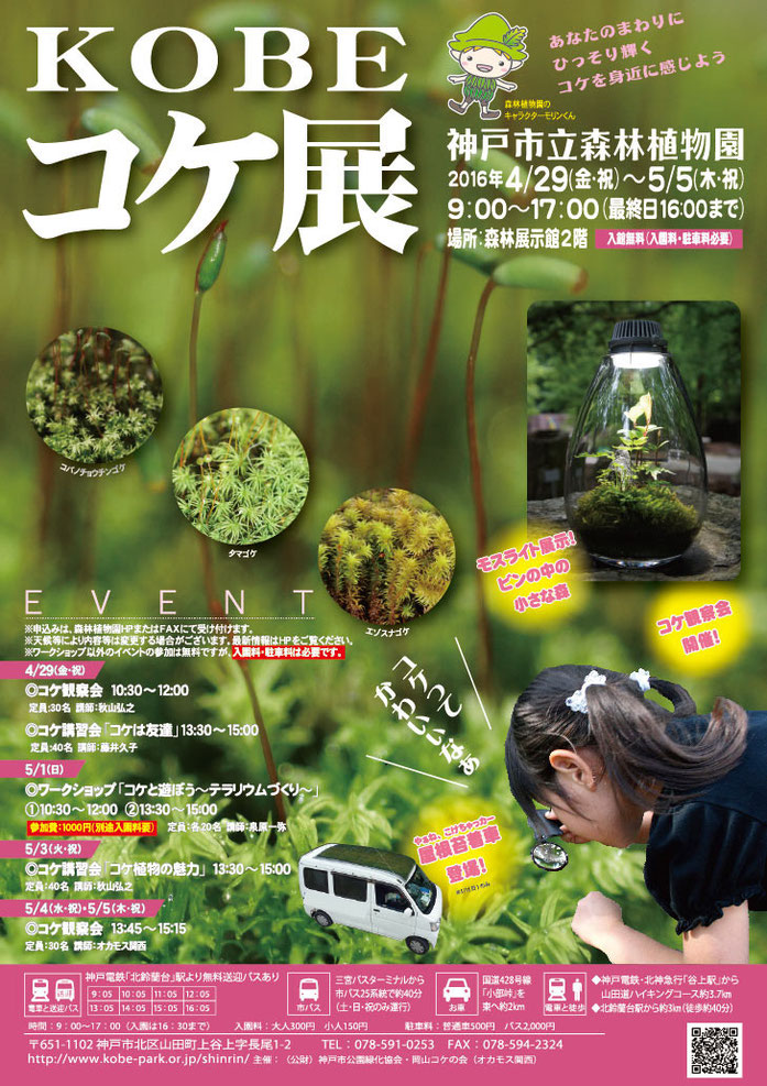 ワークショップ写真集 Koketerariumu ページ 苔テラリウムワークショップ のページ