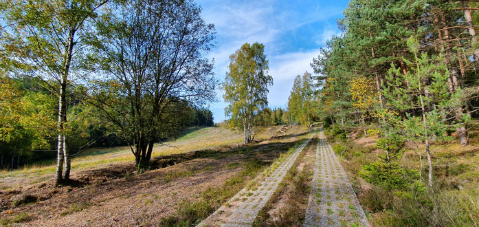 Kolonnenweg durch das NSG Görsdorfer Heide