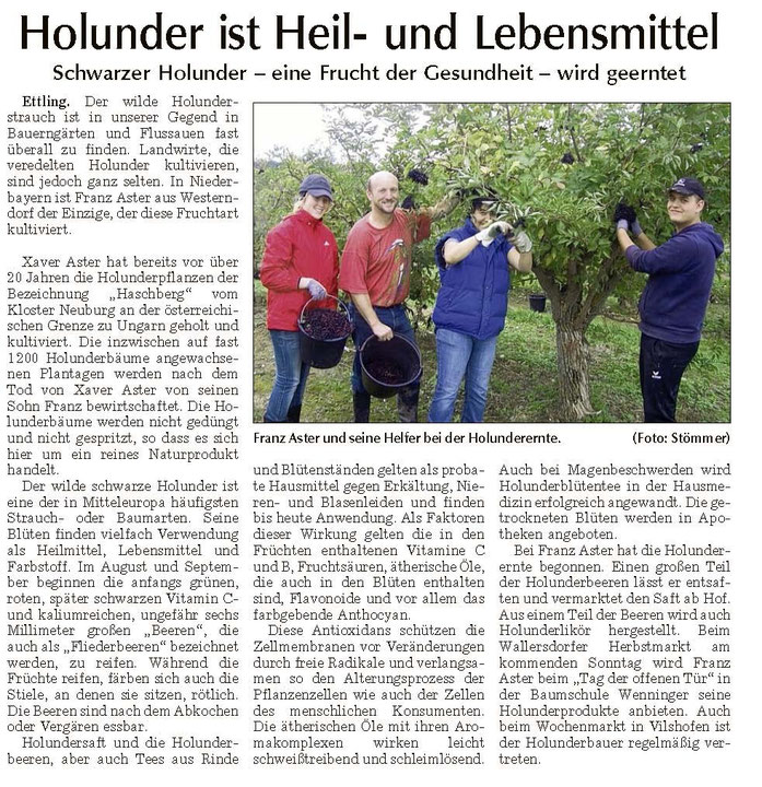 Holunderernte 2011 - Bericht Landauer Zeitung