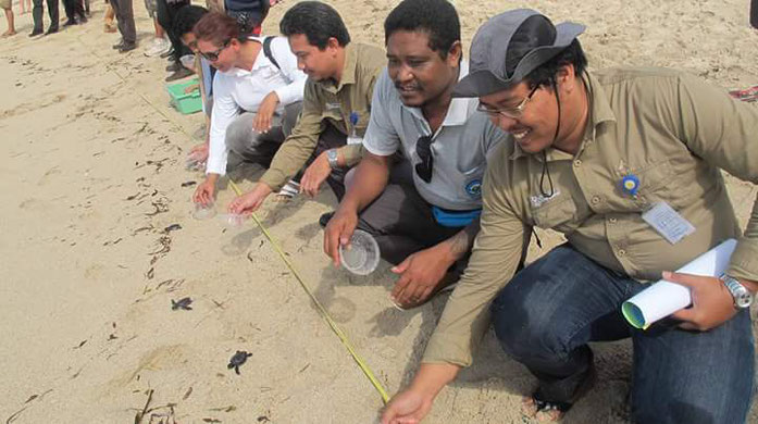 turtle release @Serangan Beach