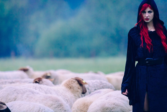 ganzjährige Freilandhaltung gibt der Wolle den besonderen Glanz