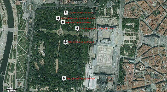 Mapa de situación de los Árboles Singulares del Campo del Moro