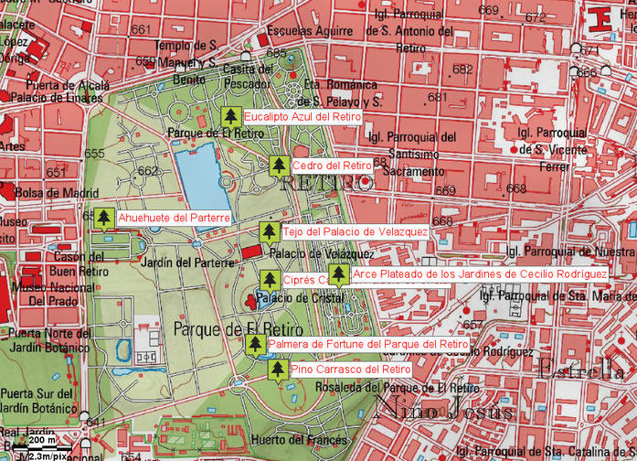 Mapa de situación de los Árboles Singulares del Parque del Retiro