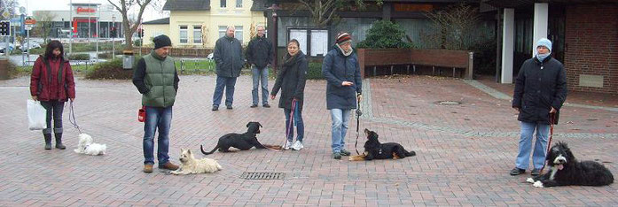 Die Bilder sind beim Alltagstraining bei www.hunde-varel.de entstanden. Der Boden war kalt, hihi.