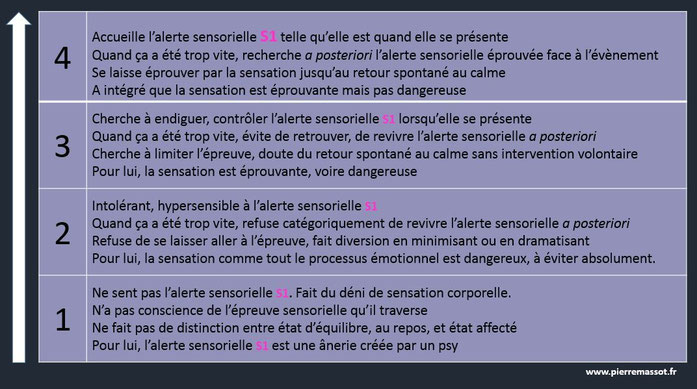 Grille pour s'auto-évaluer dans l'utilisation de la clé S1 de la Méthode S.O.S.